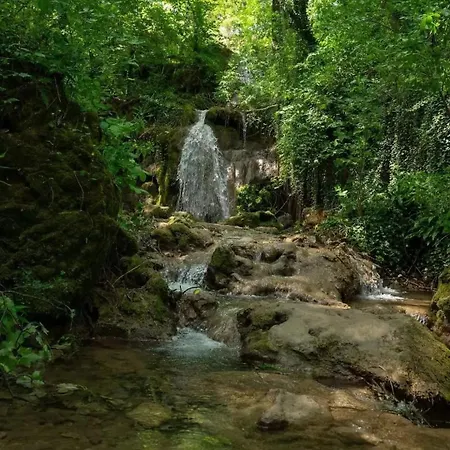 Osmeh * Soko Banja
